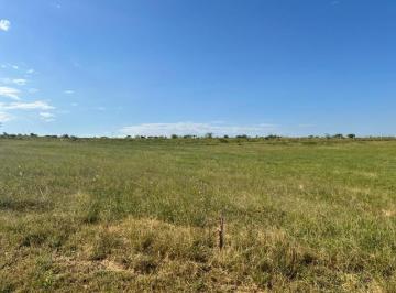Terreno , Los Reartes · Venta de Terreno en Altos del Corral - Tlc0818
