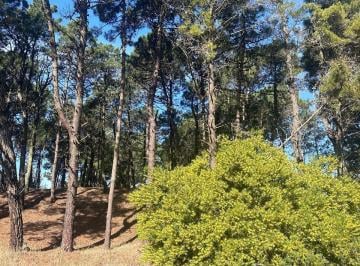 Terreno · 1282m² · Lote Pinamar - Zona Alamos Manzana 241 Lote 12