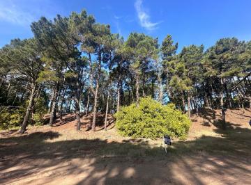 Terreno · 1282m² · Lote Pinamar - Zona Alamos Manzana 241 Lote 12
