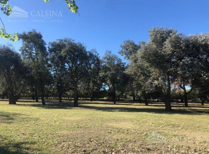 Terreno · 4495m²