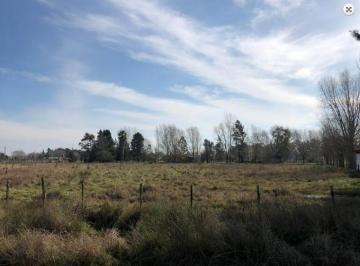 Campo , San Vicente · Media Hectárea en Venta - San Vicente