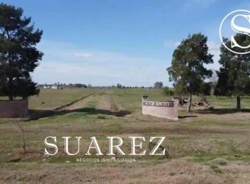 Terreno · 9850m² · Chacras en Venta Mercedes 1 Hectarea a m de La Ruta 41