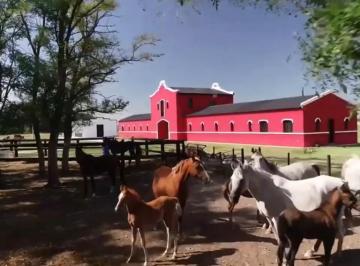 Campo · 500m² · Venta Campo Haras Ruta 54 Coronel Brandsen