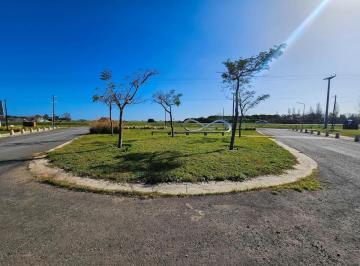 Terreno · 300m² · Venta/permuta - Lote - Eco Vida, Villa Amelia