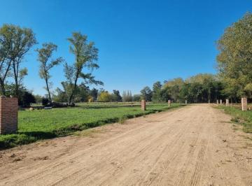 Terreno · 240m² · Venta Terreno en Pilar La Lonja, Barrio El Comienzo IV Financiamiento 50%