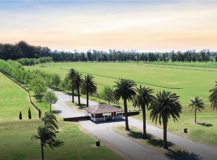 Desarrollo horizontal · Technopolo Resort y Country Club