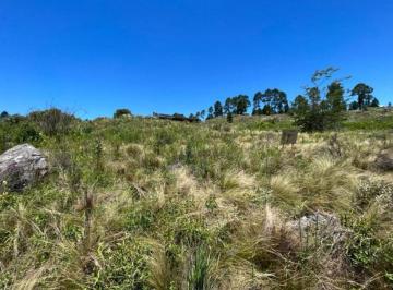 Terreno · 2392m² · Venta de Lote en Loma del Tigre en Villa Berna - Tlc0784