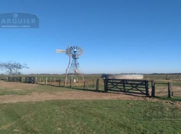 Campo · Campo - Ingeniero Williams