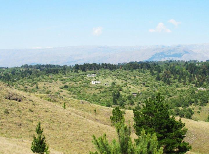 Terreno · 10000m²