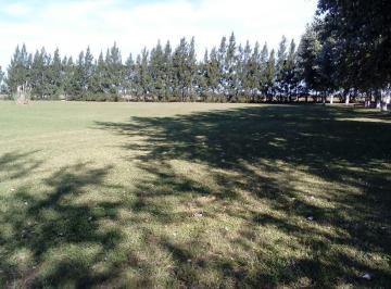 Terreno · 1000m² · Terreno en Haras del Sur II en Excelente Ubicacion con Escritura. Medida 20x50