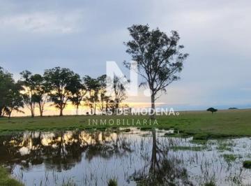 Foto1 · En Venta Campo en Treinta y Tres, Ubicado a 12 Kilóm de Vergara