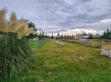 Terreno · 406m² · Venta Lote Tipas Blancas - Yei Pora Tortuguitas