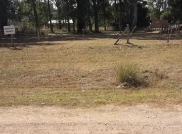 Terreno , Chascomús · Terrenos de 650 m² - Chascomús - Av Laguna Adela