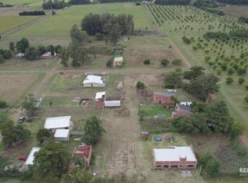 Imagen1 · Terreno en Los Pinos 20 X 50