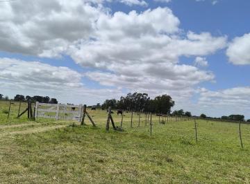 Terreno · 240000m² · Campo en Venta San Miguel del Monte Acceso Directo Ruta 41 y Secundario por Ruta 3