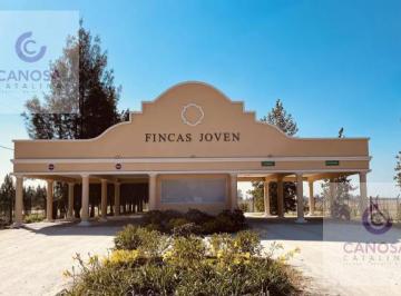 Terreno · 618m² · Venta - Lote en Fincas Joven