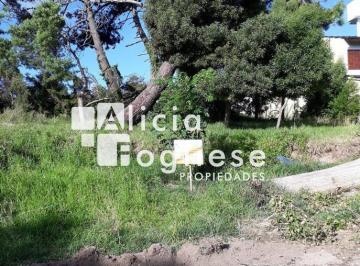 Terreno · 582m² · Lote en Venta Zona Centro