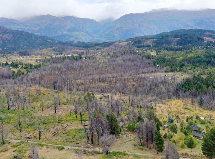 Campo · 25000m²