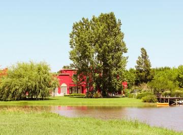 RRA-RR1-800_2 · Lote en Venta Fincas de San Vicente de La Laguna - San Vicente