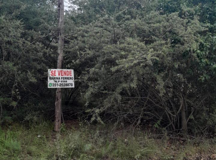 Terreno · 1000m²