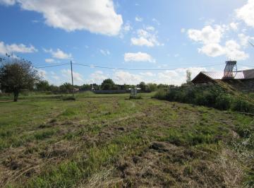 Terreno · 520m² · Terreno Los Cedros