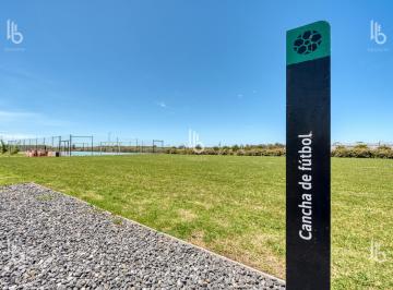 Terreno · 651m² · 1 Ambiente · Terreno - Constitución