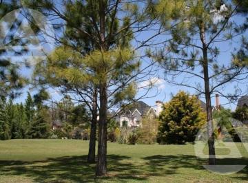 RRA-RR1-706_2 · Lote en Venta en Saint Thomas - Canning