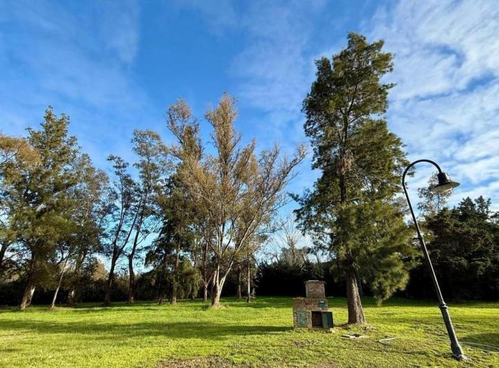 Terreno · 800m²