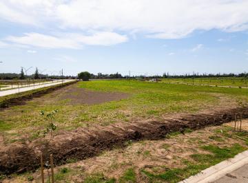 Terreno · 504m² · Terreno 429 m² - General Lagos - Ecolagos Este - Distrito Cero