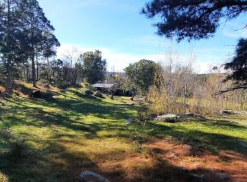parque · Dueño Vende Casa de Campo en Lote de 22833 m². (2.23 Hect) en San Clemente. Cba