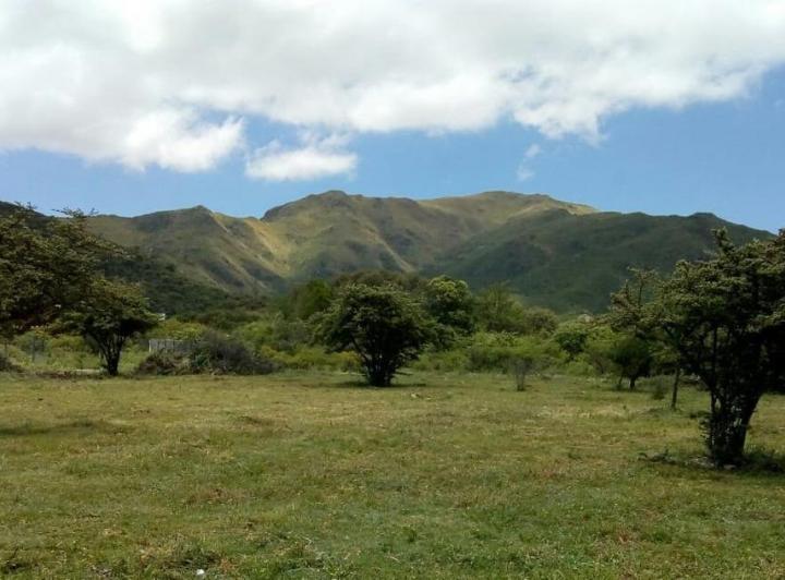 Terreno · 425m²