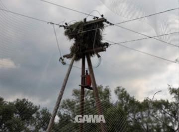 Foto · Venta Campo en Lucio V Mansilla