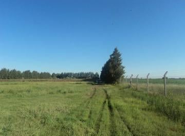 Campo · 170000m² · Campo 17 Hectáreas a 20 Km de Rosario en La Carolina