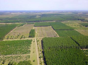 Terreno · 1210m² · Campo en Concordia