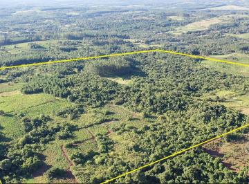 Campo · 560000m² · Se Vende Chacra en San Ignacio Misiones. Yerba, Forestación y Arroyo