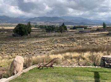 Terreno · 5000m² · Terreno - Tupungato