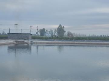 Campo · 720m² · Finca en Junin