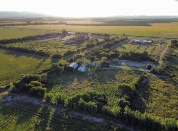 Campo · 16300m² · 10 Ambientes · 3 Cocheras · Casa de Campo - Santa Ana - Casa, Galpón y Departamento