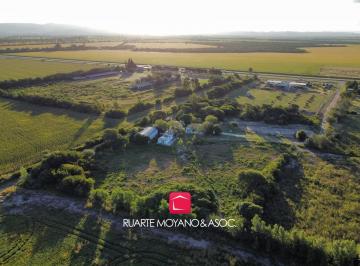 Campo · 16300m² · 10 Ambientes · 3 Cocheras · Casa de Campo - Santa Ana - Casa, Galpón y Departamento