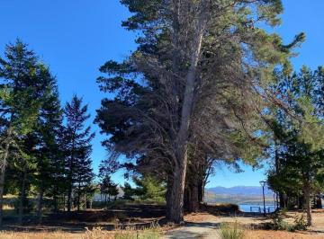 Terreno · 1061ha · Lote en Venta en Dina Huapi Villa de Miguel con Salida Al Lago