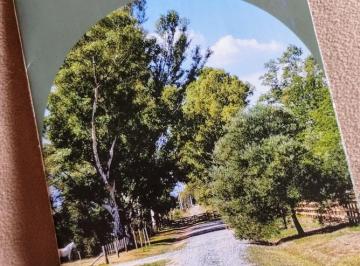Terreno · 10000m² · Areco - Lotes de 1 Hectarea - El Galo