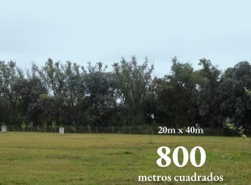 800 metros cuadrados en adelante · Venta. Lotes en La Morada de Pergamino de 800 m² en Adelante