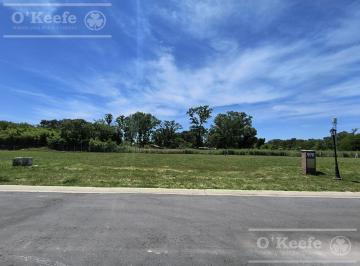 Terreno · 600m² · Lote en Venta en San Juan Chico - Posesion Inmediata Hudson Berazategui
