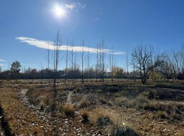 Terreno , Vistalba · Lote en Las Compuertas