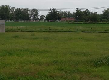 Terreno , Leones · Venta de Excepcionales Terrenos en La Localidad de Leones