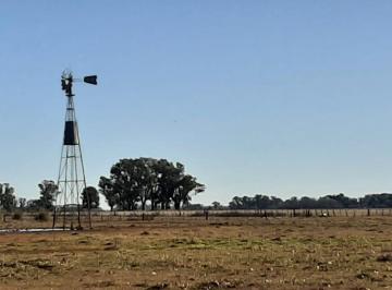 Campo , Lobos · 70 Ha Agrícolas en Lobos