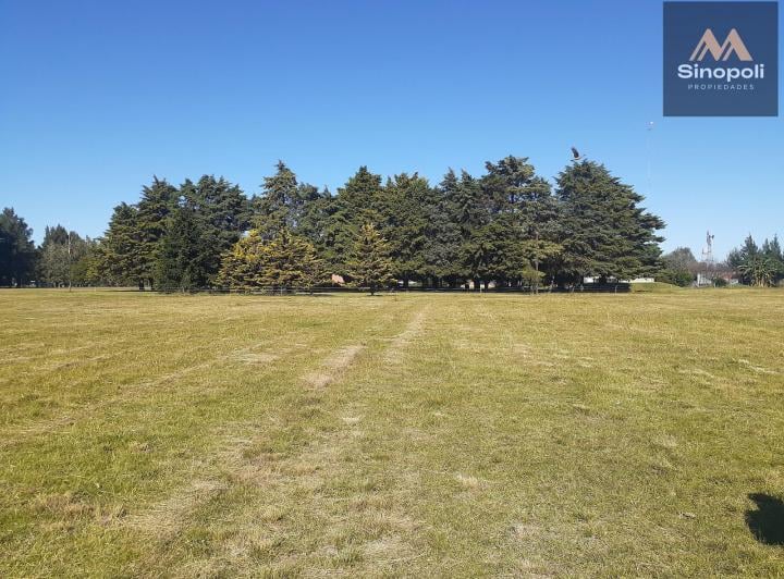 Terreno · 44000m²