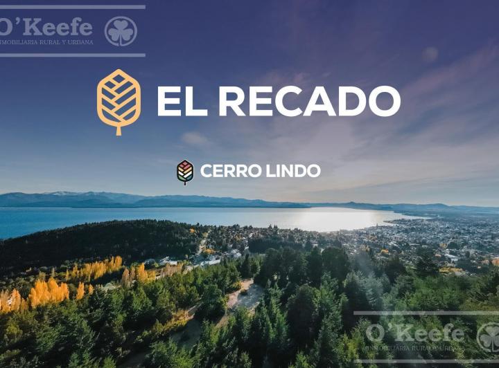 Desarrollo vertical · El Recado - Modulo 2