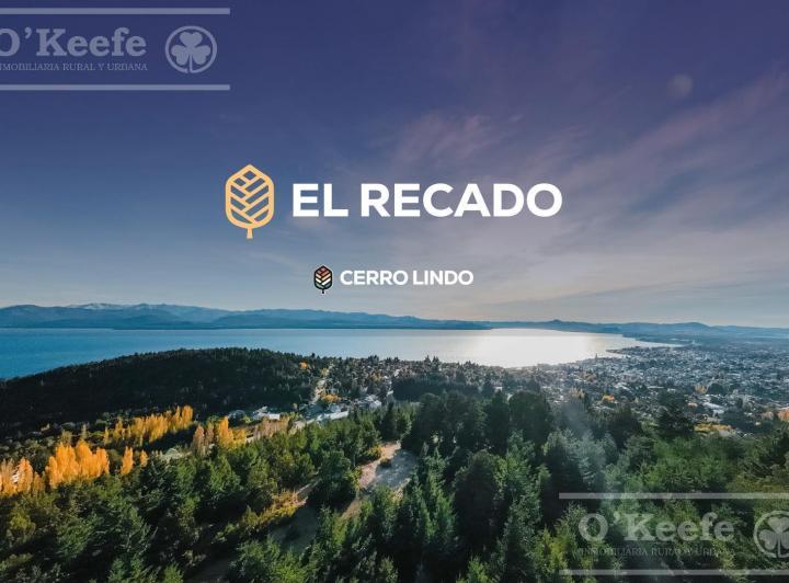 Desarrollo vertical · El Recado - Modulo 2