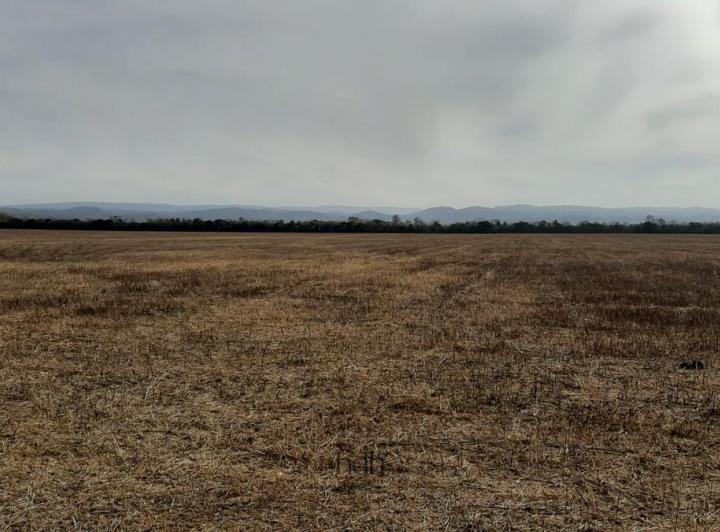 Terreno · 500000ha